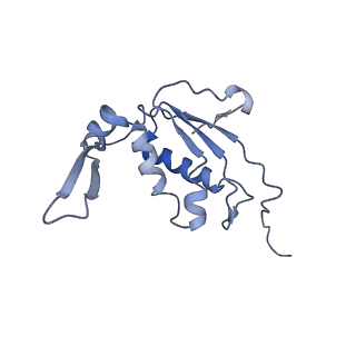 8521_5u9f_12_v1-4
3.2 A cryo-EM ArfA-RF2 ribosome rescue complex (Structure II)