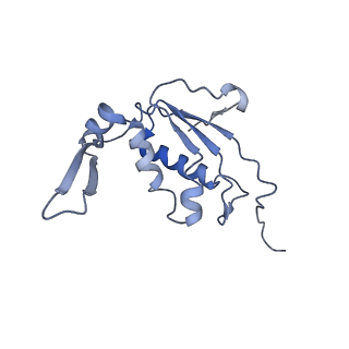 8521_5u9f_12_v1-5
3.2 A cryo-EM ArfA-RF2 ribosome rescue complex (Structure II)