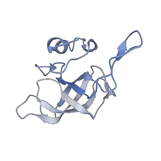 8521_5u9f_13_v1-4
3.2 A cryo-EM ArfA-RF2 ribosome rescue complex (Structure II)