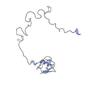 8521_5u9f_14_v1-4
3.2 A cryo-EM ArfA-RF2 ribosome rescue complex (Structure II)