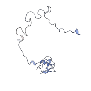 8521_5u9f_14_v1-5
3.2 A cryo-EM ArfA-RF2 ribosome rescue complex (Structure II)