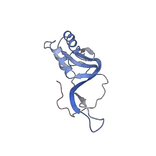 8521_5u9f_15_v1-4
3.2 A cryo-EM ArfA-RF2 ribosome rescue complex (Structure II)