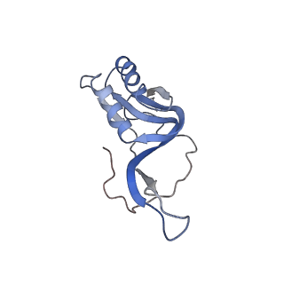 8521_5u9f_15_v1-5
3.2 A cryo-EM ArfA-RF2 ribosome rescue complex (Structure II)