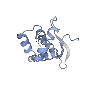 8521_5u9f_16_v1-4
3.2 A cryo-EM ArfA-RF2 ribosome rescue complex (Structure II)