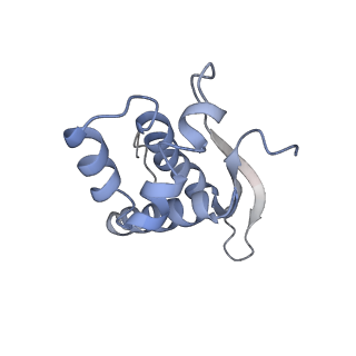 8521_5u9f_16_v1-5
3.2 A cryo-EM ArfA-RF2 ribosome rescue complex (Structure II)