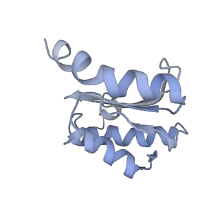 8521_5u9f_17_v1-4
3.2 A cryo-EM ArfA-RF2 ribosome rescue complex (Structure II)