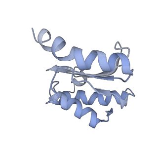 8521_5u9f_17_v1-5
3.2 A cryo-EM ArfA-RF2 ribosome rescue complex (Structure II)