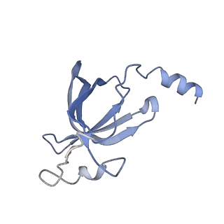 8521_5u9f_18_v1-4
3.2 A cryo-EM ArfA-RF2 ribosome rescue complex (Structure II)