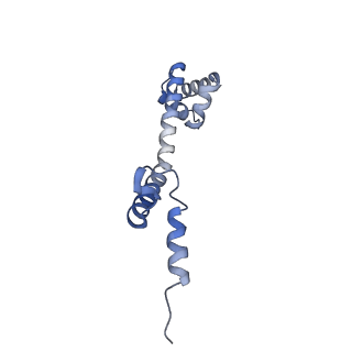 8521_5u9f_19_v1-4
3.2 A cryo-EM ArfA-RF2 ribosome rescue complex (Structure II)