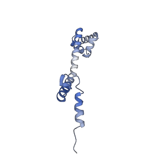 8521_5u9f_19_v1-5
3.2 A cryo-EM ArfA-RF2 ribosome rescue complex (Structure II)