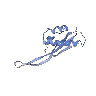8521_5u9f_21_v1-4
3.2 A cryo-EM ArfA-RF2 ribosome rescue complex (Structure II)