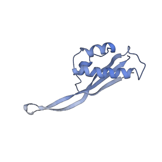 8521_5u9f_21_v1-5
3.2 A cryo-EM ArfA-RF2 ribosome rescue complex (Structure II)