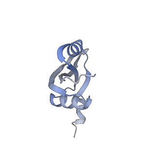 8521_5u9f_22_v1-4
3.2 A cryo-EM ArfA-RF2 ribosome rescue complex (Structure II)