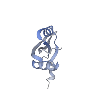 8521_5u9f_22_v1-5
3.2 A cryo-EM ArfA-RF2 ribosome rescue complex (Structure II)