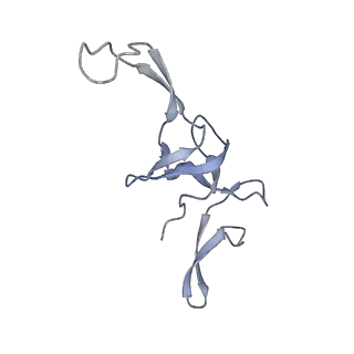 8521_5u9f_23_v1-4
3.2 A cryo-EM ArfA-RF2 ribosome rescue complex (Structure II)