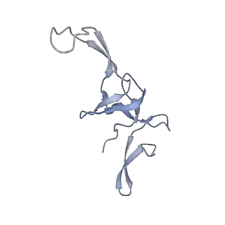 8521_5u9f_23_v1-5
3.2 A cryo-EM ArfA-RF2 ribosome rescue complex (Structure II)