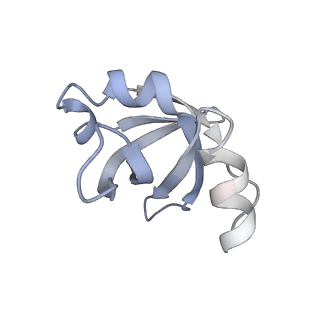 8521_5u9f_24_v1-4
3.2 A cryo-EM ArfA-RF2 ribosome rescue complex (Structure II)