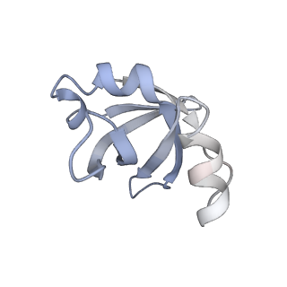 8521_5u9f_24_v1-5
3.2 A cryo-EM ArfA-RF2 ribosome rescue complex (Structure II)