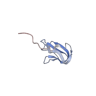 8521_5u9f_25_v1-4
3.2 A cryo-EM ArfA-RF2 ribosome rescue complex (Structure II)