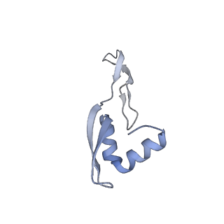 8521_5u9f_26_v1-4
3.2 A cryo-EM ArfA-RF2 ribosome rescue complex (Structure II)