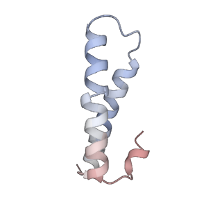 8521_5u9f_27_v1-4
3.2 A cryo-EM ArfA-RF2 ribosome rescue complex (Structure II)