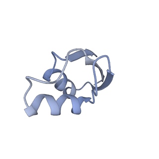 8521_5u9f_28_v1-4
3.2 A cryo-EM ArfA-RF2 ribosome rescue complex (Structure II)