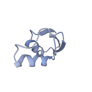 8521_5u9f_28_v1-5
3.2 A cryo-EM ArfA-RF2 ribosome rescue complex (Structure II)