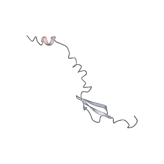 8521_5u9f_29_v1-4
3.2 A cryo-EM ArfA-RF2 ribosome rescue complex (Structure II)