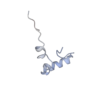 8521_5u9f_32_v1-5
3.2 A cryo-EM ArfA-RF2 ribosome rescue complex (Structure II)