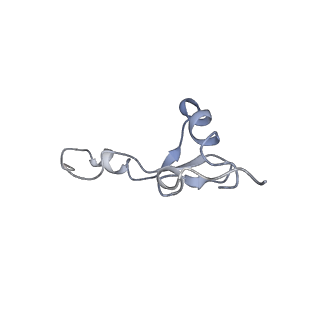 8521_5u9f_33_v1-4
3.2 A cryo-EM ArfA-RF2 ribosome rescue complex (Structure II)