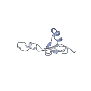 8521_5u9f_33_v1-5
3.2 A cryo-EM ArfA-RF2 ribosome rescue complex (Structure II)