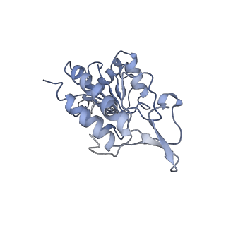 8521_5u9f_B_v1-4
3.2 A cryo-EM ArfA-RF2 ribosome rescue complex (Structure II)