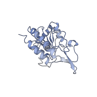 8521_5u9f_B_v1-5
3.2 A cryo-EM ArfA-RF2 ribosome rescue complex (Structure II)