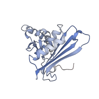 8521_5u9f_C_v1-4
3.2 A cryo-EM ArfA-RF2 ribosome rescue complex (Structure II)