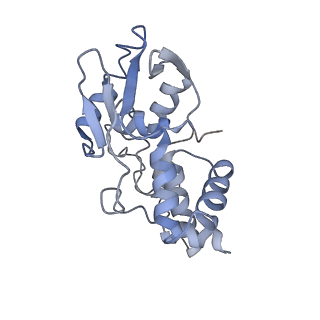 8521_5u9f_D_v1-4
3.2 A cryo-EM ArfA-RF2 ribosome rescue complex (Structure II)
