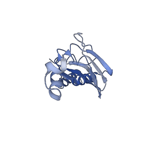 8521_5u9f_E_v1-4
3.2 A cryo-EM ArfA-RF2 ribosome rescue complex (Structure II)