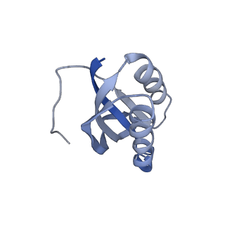 8521_5u9f_F_v1-4
3.2 A cryo-EM ArfA-RF2 ribosome rescue complex (Structure II)