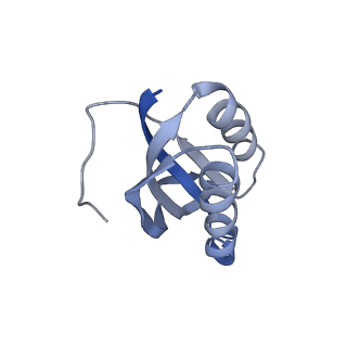 8521_5u9f_F_v1-5
3.2 A cryo-EM ArfA-RF2 ribosome rescue complex (Structure II)