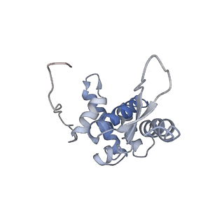 8521_5u9f_G_v1-4
3.2 A cryo-EM ArfA-RF2 ribosome rescue complex (Structure II)