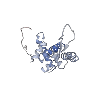 8521_5u9f_G_v1-5
3.2 A cryo-EM ArfA-RF2 ribosome rescue complex (Structure II)