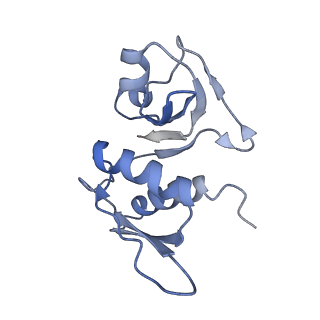 8521_5u9f_H_v1-4
3.2 A cryo-EM ArfA-RF2 ribosome rescue complex (Structure II)