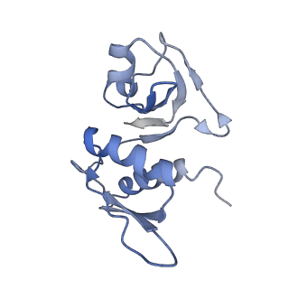 8521_5u9f_H_v1-5
3.2 A cryo-EM ArfA-RF2 ribosome rescue complex (Structure II)