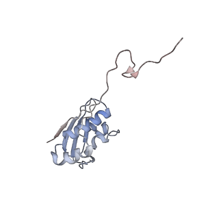 8521_5u9f_I_v1-5
3.2 A cryo-EM ArfA-RF2 ribosome rescue complex (Structure II)