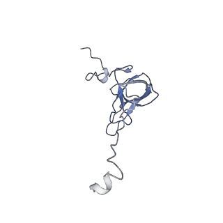 8521_5u9f_L_v1-4
3.2 A cryo-EM ArfA-RF2 ribosome rescue complex (Structure II)
