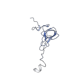 8521_5u9f_L_v1-5
3.2 A cryo-EM ArfA-RF2 ribosome rescue complex (Structure II)