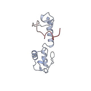 8521_5u9f_M_v1-4
3.2 A cryo-EM ArfA-RF2 ribosome rescue complex (Structure II)