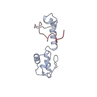 8521_5u9f_M_v1-5
3.2 A cryo-EM ArfA-RF2 ribosome rescue complex (Structure II)