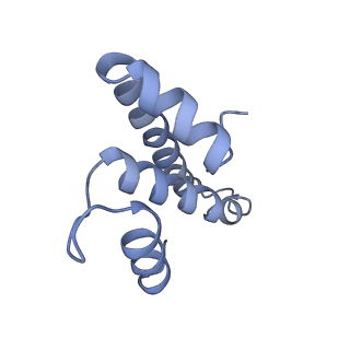 8521_5u9f_O_v1-4
3.2 A cryo-EM ArfA-RF2 ribosome rescue complex (Structure II)