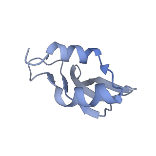 8521_5u9f_P_v1-4
3.2 A cryo-EM ArfA-RF2 ribosome rescue complex (Structure II)