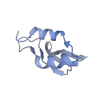 8521_5u9f_P_v1-5
3.2 A cryo-EM ArfA-RF2 ribosome rescue complex (Structure II)